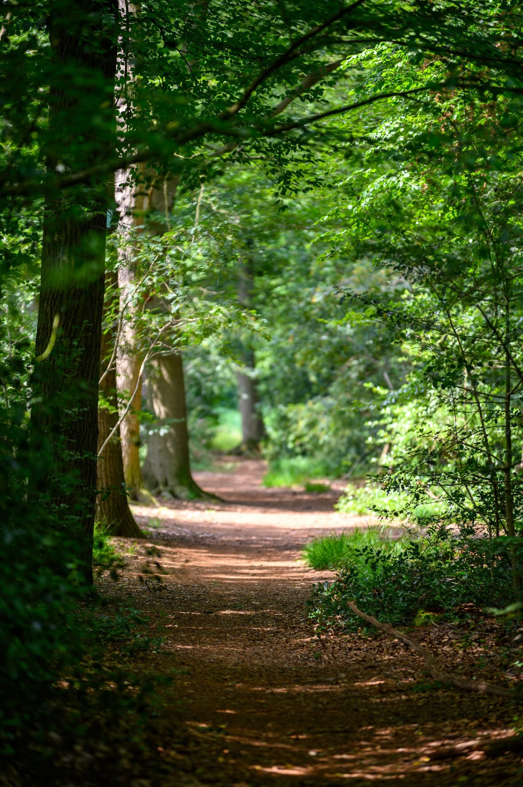 Natur
