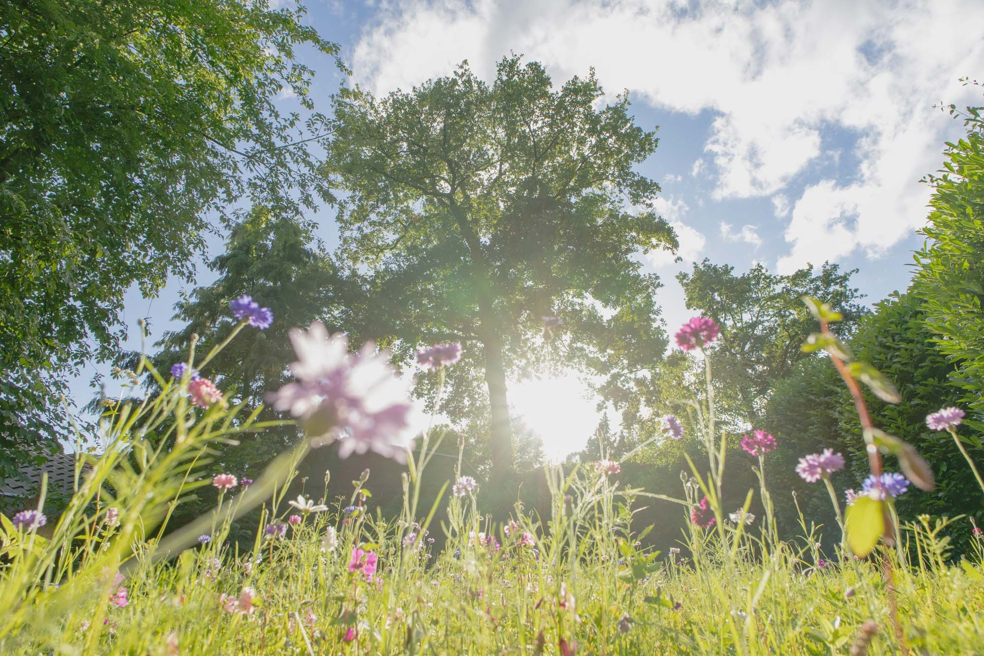 Natur im Ferienpark