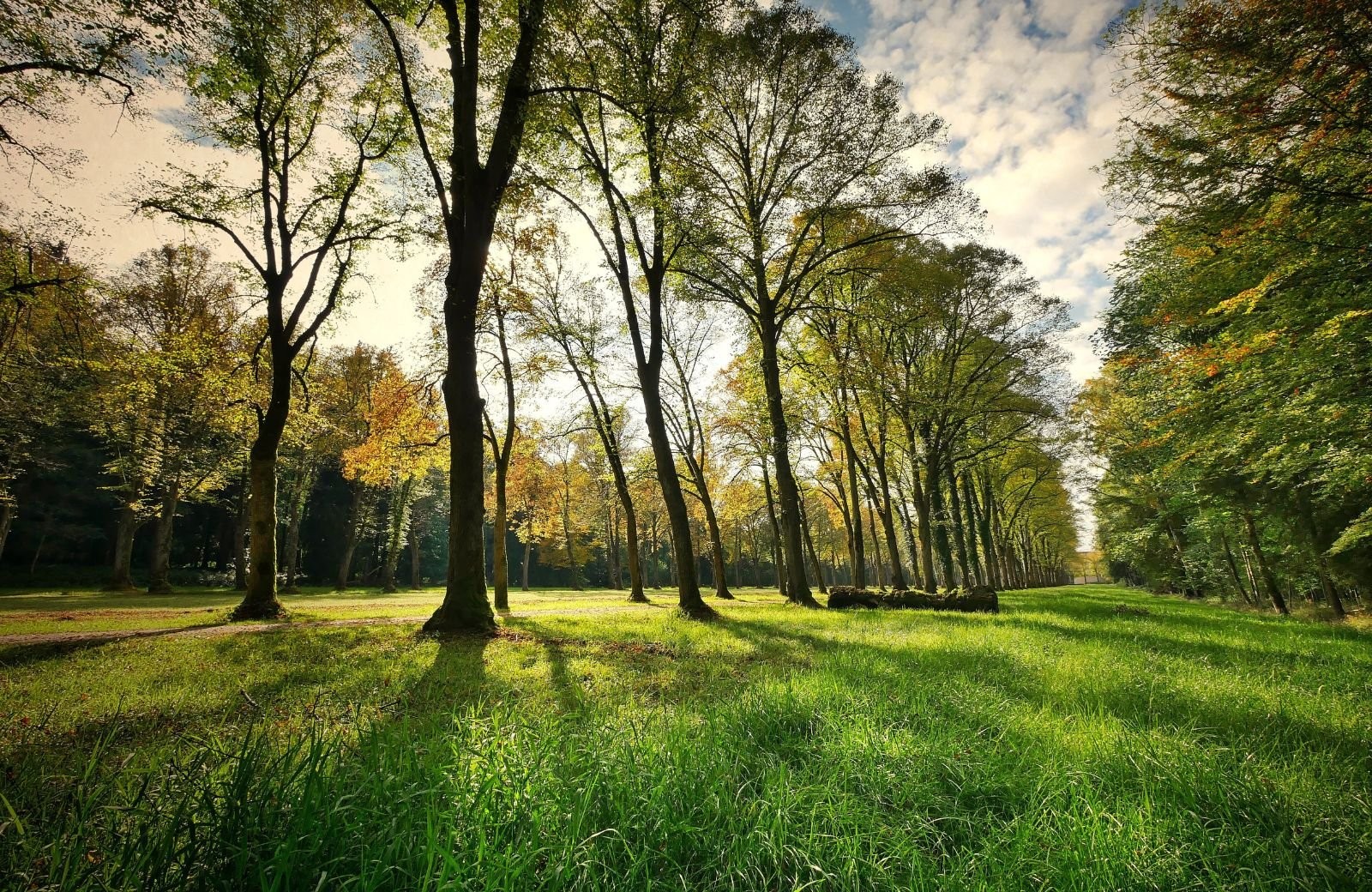 Baarn