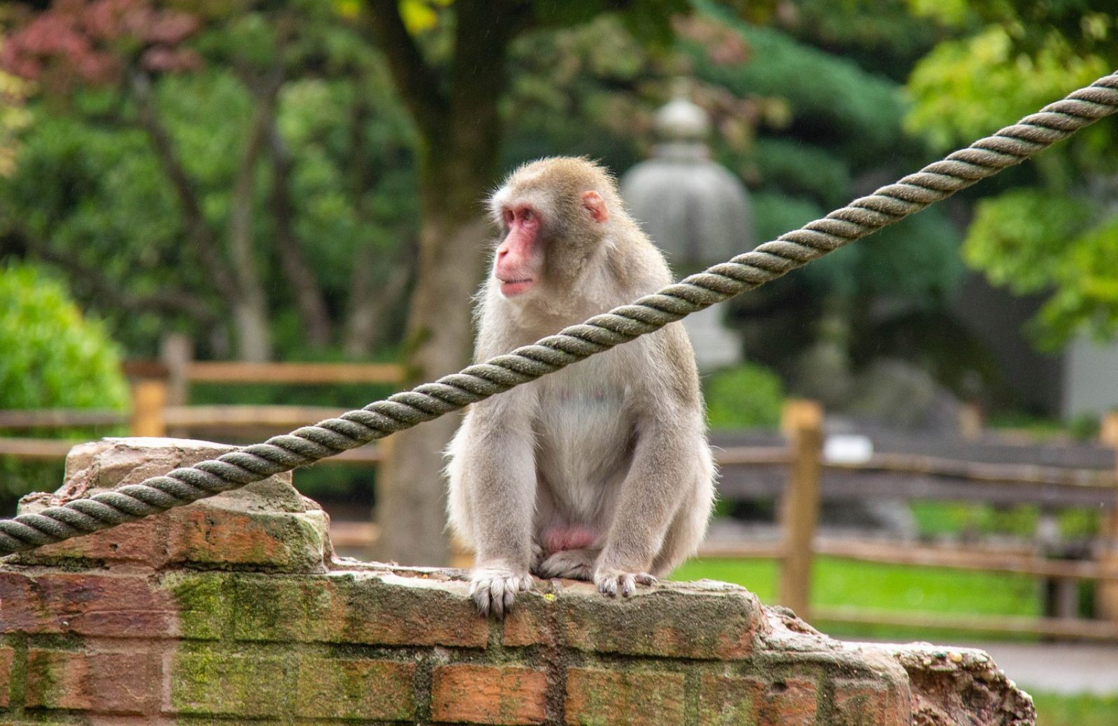 DierenPark Amersfoort