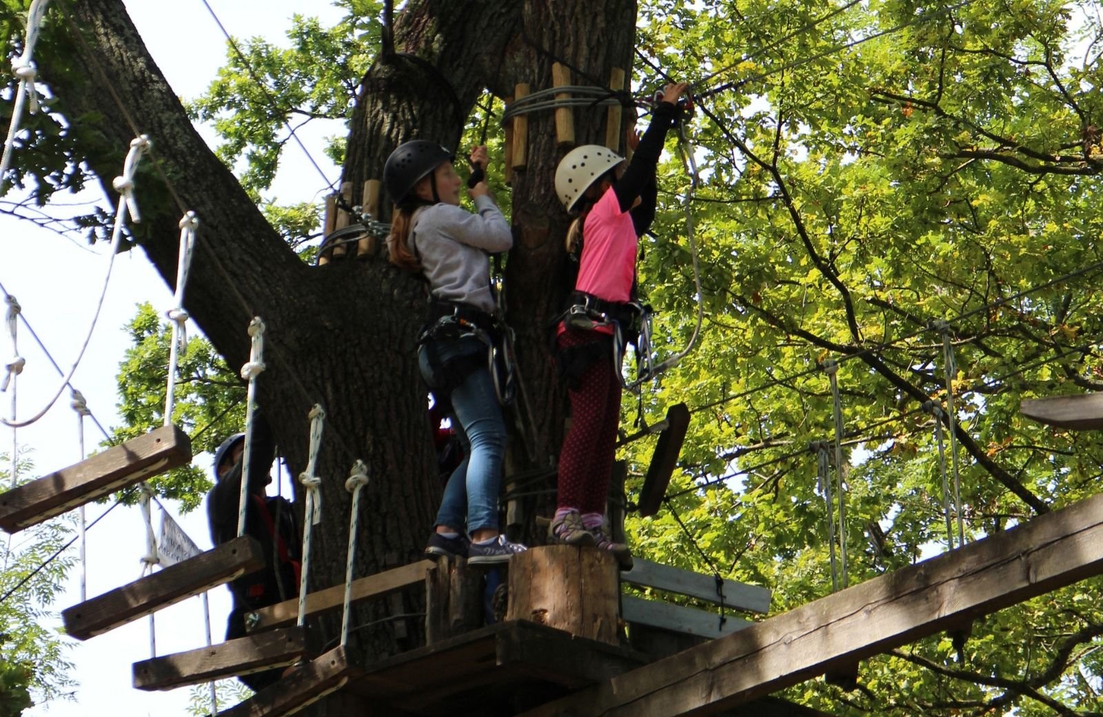 Kletterwald Gooi-Eemland