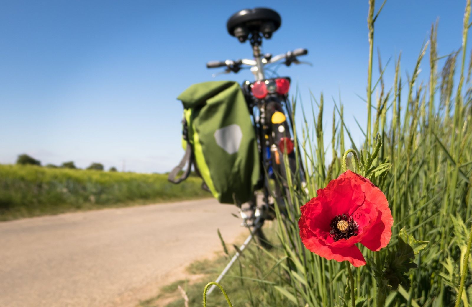 Wandern und Radfahren