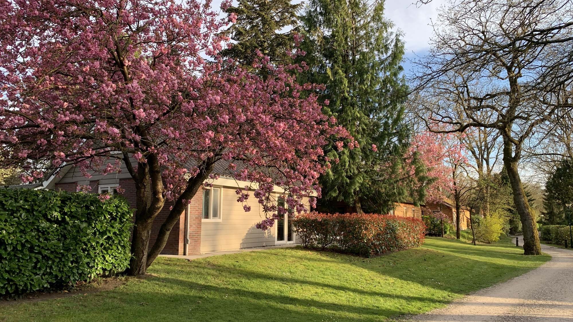 Bungalow T4